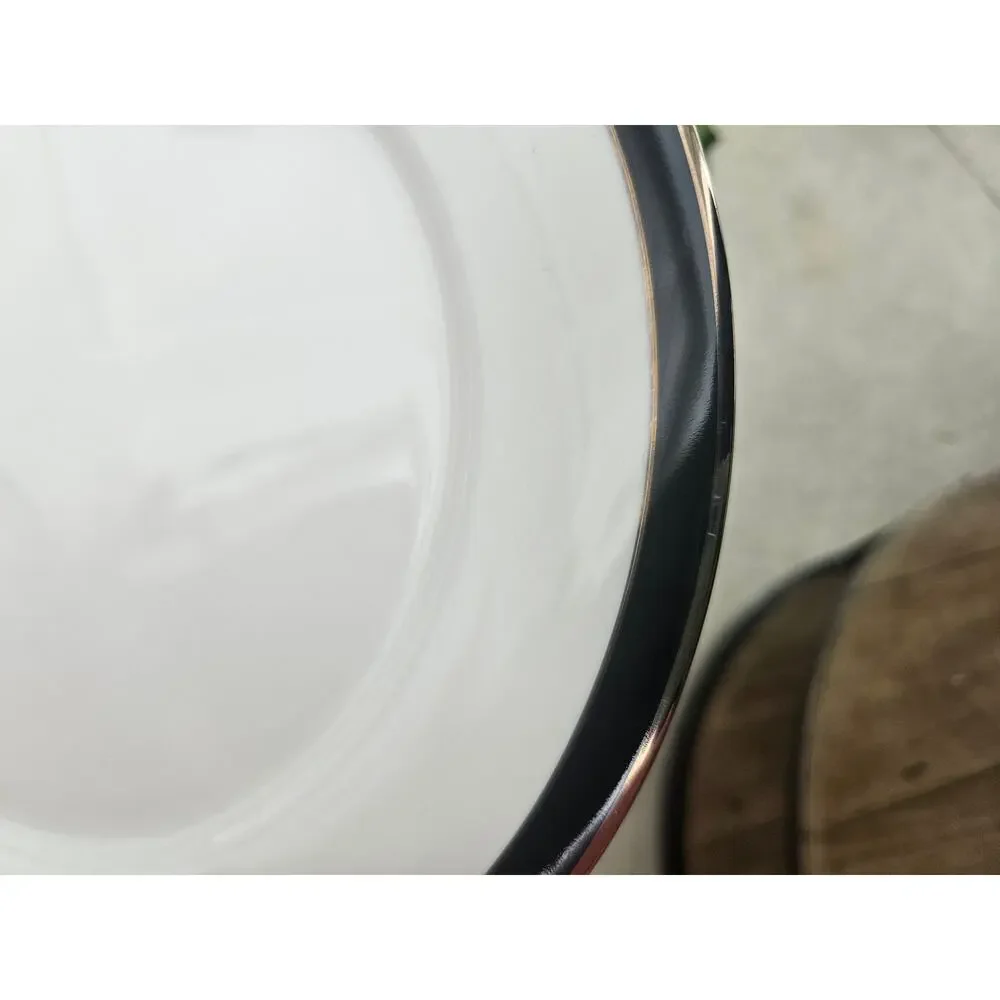 2 Dinner Plates 10.75